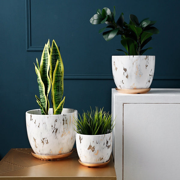 Elegant Gold-Decorated Ceramic Flower Pot