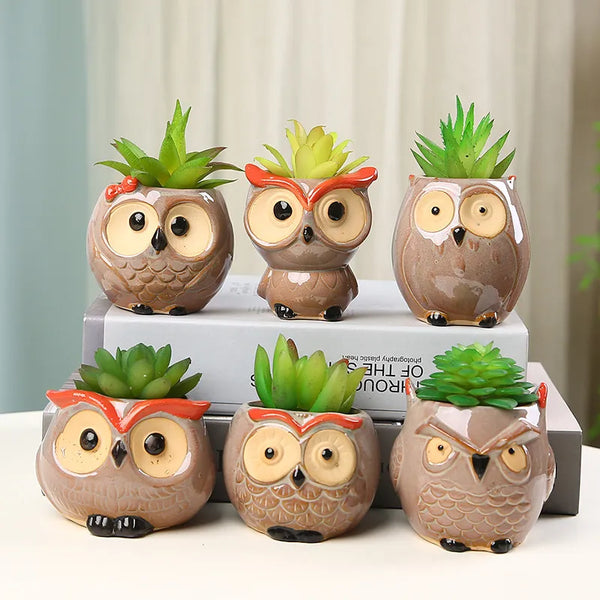 Mini Owl Ceramic Succulent Planter Pots